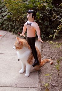 Freddie